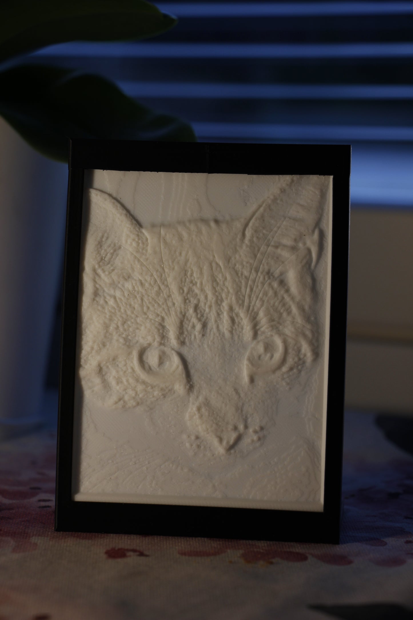 Litofaani kehyksessä